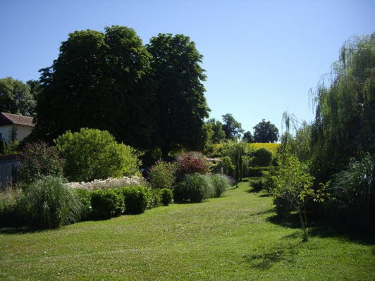 IMGP1298
